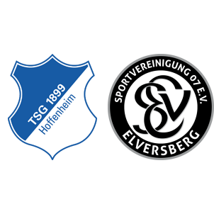 TSG Hoffenheim vs Elversberg H2H stats - SoccerPunter